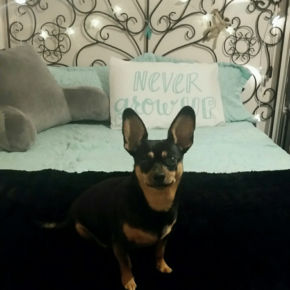 Meet your Posher, Nadine!